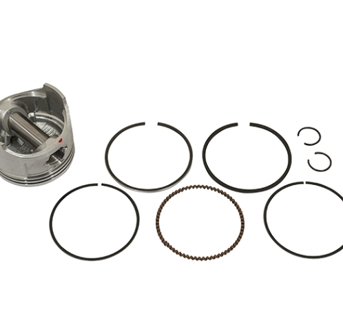 Piston & Ring Assembly